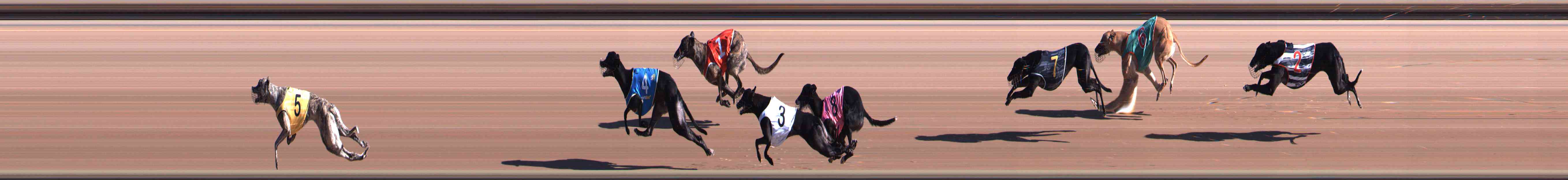 Race result finish photo